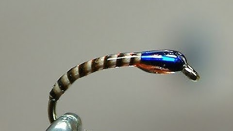 Tying the(Bug-Bond) Quilled Buzzer with Davie McPhail.
