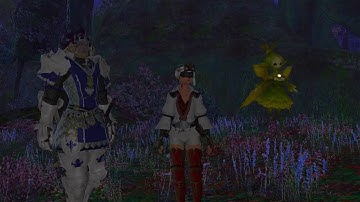 Final Fantasy XIV - Main Quest - True to Form