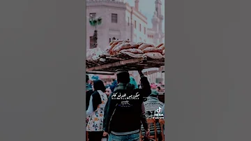 طارق الشيخ حاليا في الاسواق 