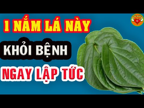 Bệnh Ngoài Da Nặng Mấy Cũng Khỏi, Làm Theo Cách Này ĐẢM BẢO KHỎI SAU 1 ĐÊM