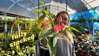 Nursery’s Newly Renovated Houseplant Area