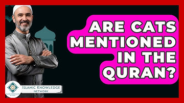 Are Cats Mentioned In The Quran? - Islamic Knowledge Network