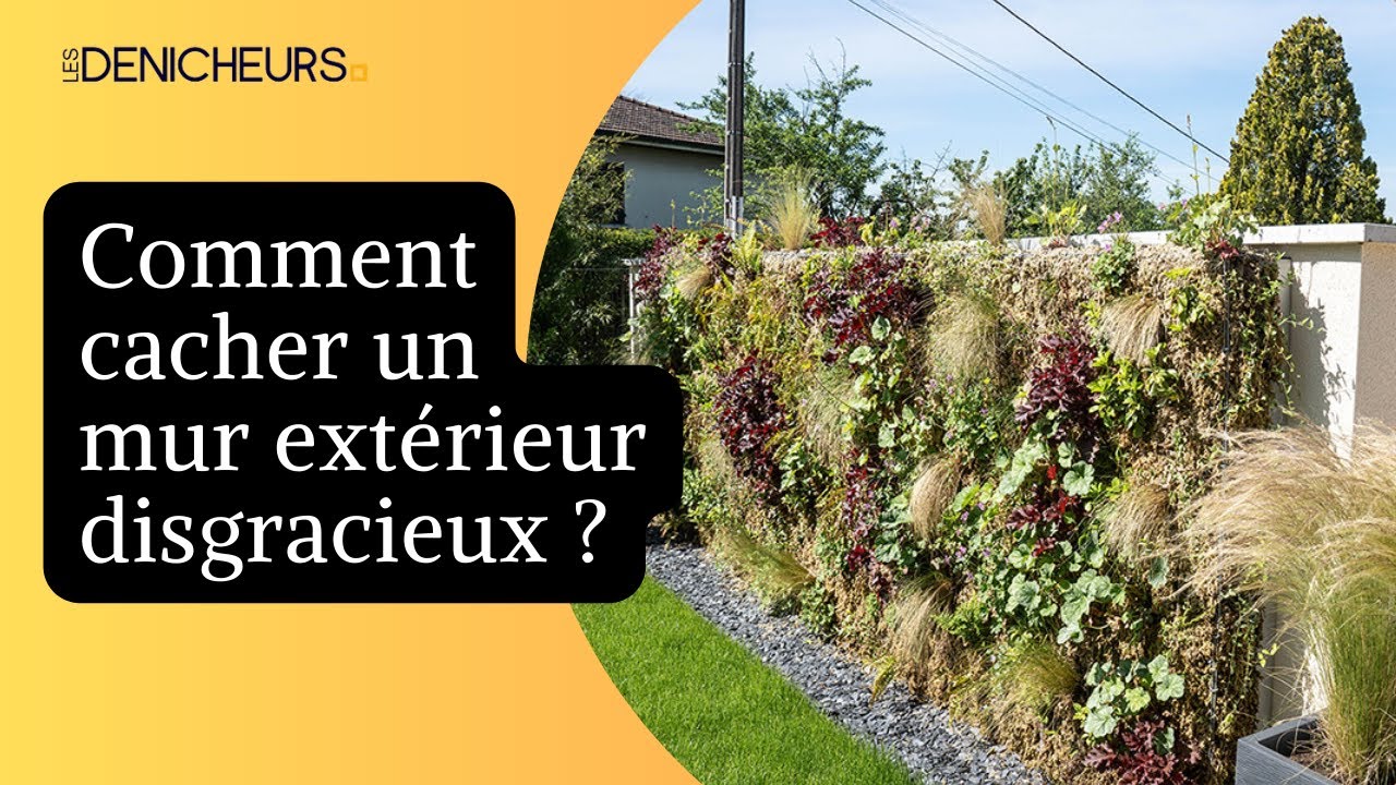 Les plantes pour cacher un mur extérieur