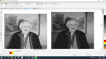 Corel Draw Tips & Tricks Crop and photo to test and save wood and time