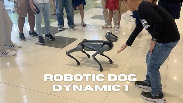 Robotic Dog Dynamic 1 by Tecno