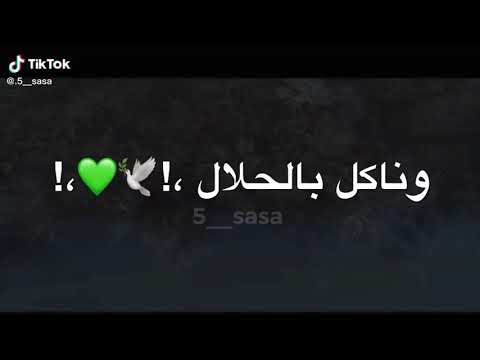 رايحة بينا فين ماشية بينا كام