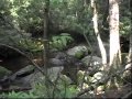 Home Movies: &quot;Roaring Fork Motor Nature Trail, Smoky Mountains, Gatlinburg, TN (June 2007)&quot;