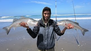 Catching our limit fishing for stripers! it was a 2.5 low tide at 12pm
and we started 12:30pm. good day the beach. enjoy video!