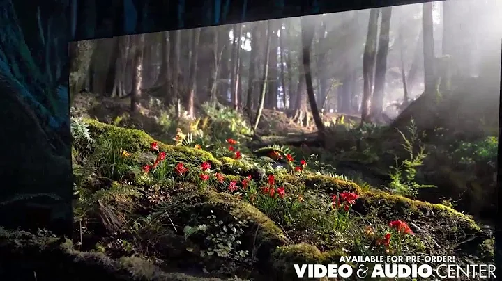 2018 SONY BRAVIA A8F OLED TV: Get it at Video & Audio Center!