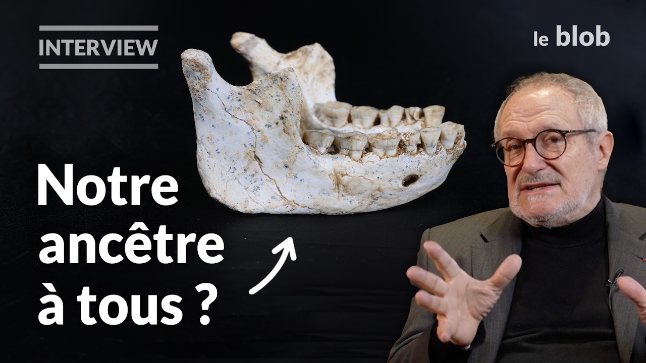 Maroc : des fossiles de 773 000 ans éclairent les origines d’Homo sapiens | Interview de JJ Hublin