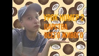 Урок 2. Царства всего живого. Мини-опрос с неожиданными результатами. Урок 2. Царства всего живого. Мини-опрос с неожиданными результатами.