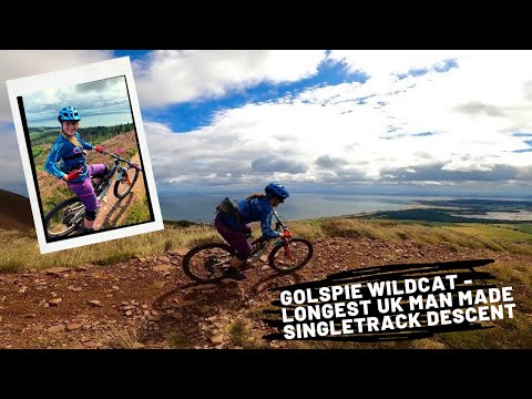 Singletrack mtb hot sale