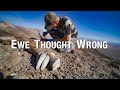 Nevada Desert bighorn sheep hunt | THE ADVISORS: Ewe Thought Wrong