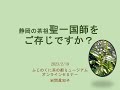 ふじのくに茶の都ミュージアムオンラインセミナー「静岡の茶祖・聖一国師をご存じですか？」アーカイブ