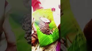 പറശ്ശിനിക്കടവ്🛕🤍#feedshorts #minivlog#kannur #muthappan #parassinikadavu #positivity