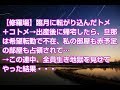 【修羅場】臨月に転がり込んだトメ+コトメ→出産後に帰宅したら、旦那は希望転勤で不在、私の部屋も赤予定の部屋も占領されて…→この連中、全員生き地獄を見せてやった結果・・・
