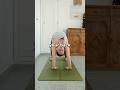 Do this instead to improve back flexibility