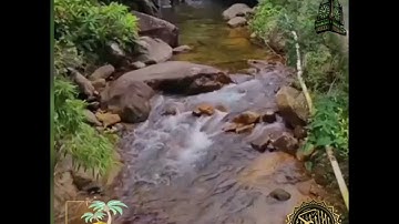 سورة الفتح بصوت القارئ الشيخ /عبدالله الموسى.