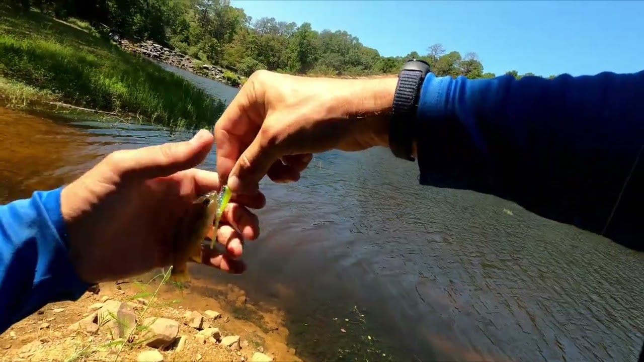 Slow day of fishing for small fish at Lake Sylvia