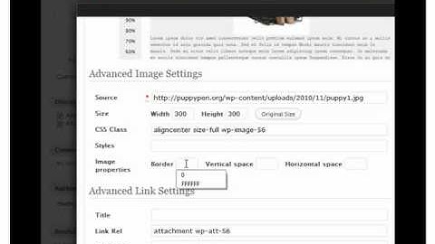 Remove The Border From Wordpress Images