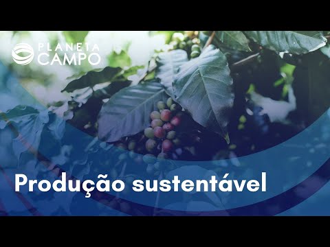 A produção regenerativa e a história do café