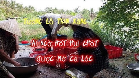 Tưởng là lèo rồi, ai ngờ ..., Trúng mánh cá lóc, Cá mè hôi Em gái xứ dừa Hồng Tươi