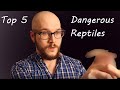 Top 5 Most DANGEROUS REPTILES In The World