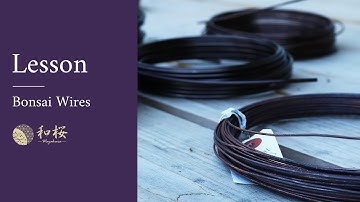 Bonsai Tool Basics: Bonsai Wires, Types and How to Use Them || Wazakura Japan