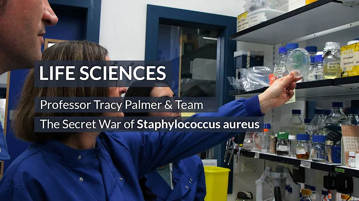 The secret war of staphylococcus aureus  - Profess...