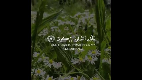 أرح سمعك 🥀 القارئ : أحمد خضر🌿