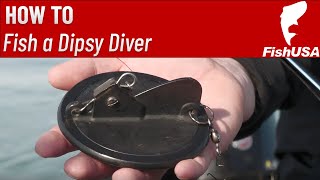 How to Fish a Dipsy Diver Simplified with Lake Erie Charter Captain Ross Robertson