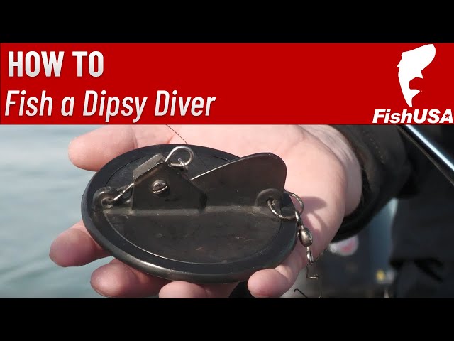 How to Fish a Dipsy Diver Simplified with Lake Erie Charter