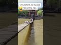 AQUI SÓ PROFISSIONAL KKKK
