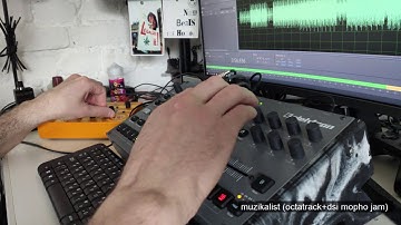 muzikalist \ octatrack mkII & dsi mopho electro jam