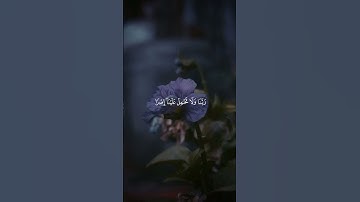 ﴿لَا یُكَلِّفُ ٱللَّهُ نَفۡسًا إِلَّا وُسۡعَهَاۚ﴾ [البقرة ٢٨٦] القارئ ماهر المعيقلي