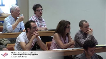 Eva Gallardo Gutiérrez: The invariant subspace problem: a concrete operator theory approach