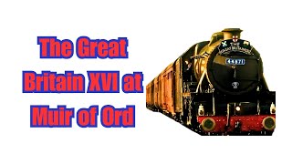 The Great Britain XVI at Muir of Ord 17th April  2024