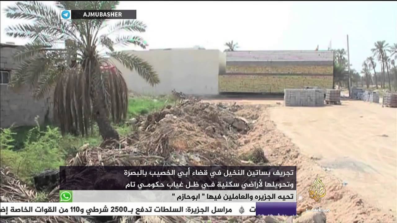 تحويل بساتين نخيل لأراضي سكنية في قضاء أبي الخصيب بالبصرة في العراق