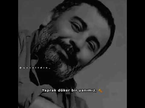 Dostum Dostum guzel Dostum (Status videolari)#azerbaycan #instagram #tiktok #trending #sonxeberler