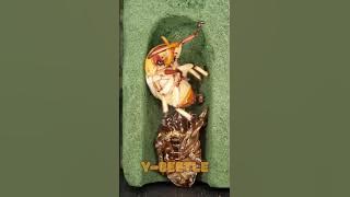 Download lagu The process of pupa's emerge! Kibakoganea Kawaii (Beetle ASMR)