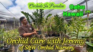 Orchid care with Jeremy of S&W Orchid Nursery Waianae, Hawaii