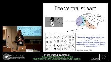 Roig Gemma - Designing Artificial Visual Intelligence Systems (...)