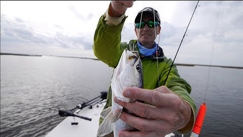 Finding Trout in Post Front Conditions (ft. M Hood Fishing)