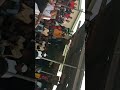 Shuudia Show Ya Simba Mwenye Njaa Kari Mavitu Ayatakuchosha Karibu Kushuhudia Nisiongee Sana 