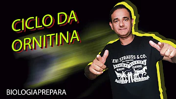 Quais os benefícios da ornitina?
