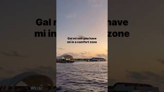 Busy Signal  Comfort Zone s