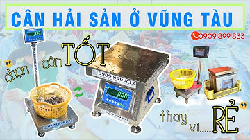 "Chọn CÂN TỐT thay vì CÂN RẺ" - GIAO CÂN HẢI SẢN DS-166SS 100KG 200KG 300KG Ở VŨNG TÀU 0909 899 833