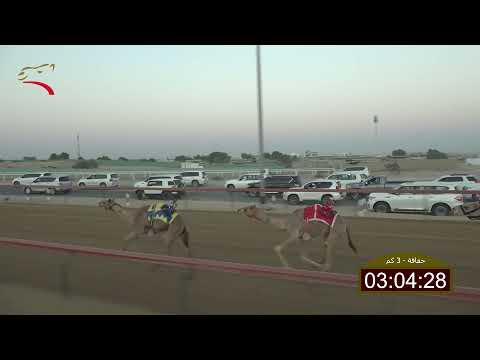 سباق الحقاقة الطي 11 11 2021 ش1 شوده ل غدير سعيد غدير الكتبي 4 27