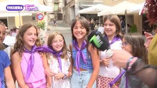 DE FIESTA EN FIESTA - VIGUERA