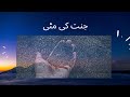Jannat ki matti - heaven soil story in urdu